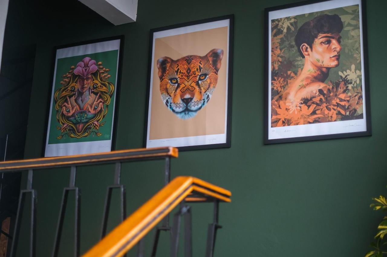Black Llama Hostel Miraflores 리마 외부 사진