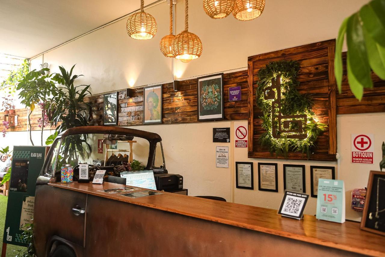 Black Llama Hostel Miraflores 리마 외부 사진