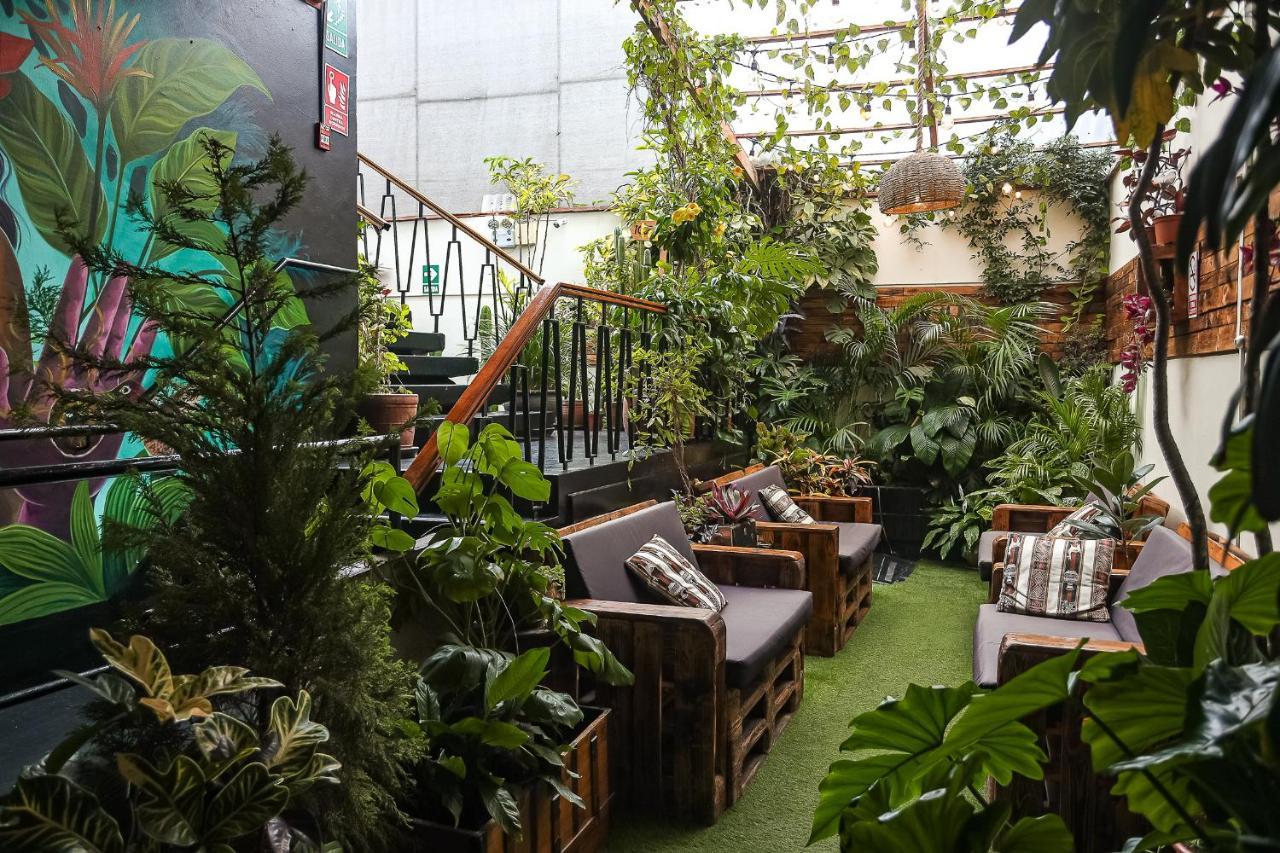 Black Llama Hostel Miraflores 리마 외부 사진
